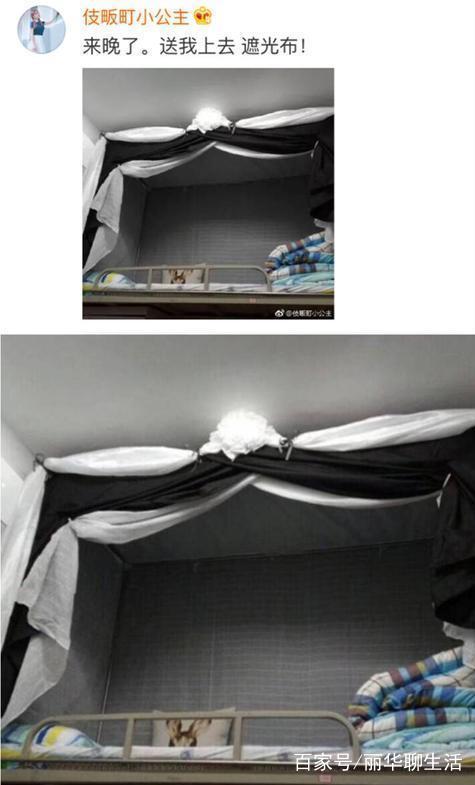 pixiv成年版 让不同的年版生态得以并存海报