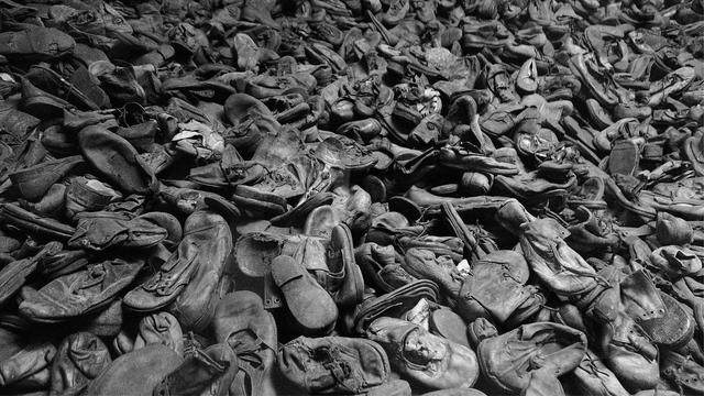 啄木鸟巴黎之夜海报