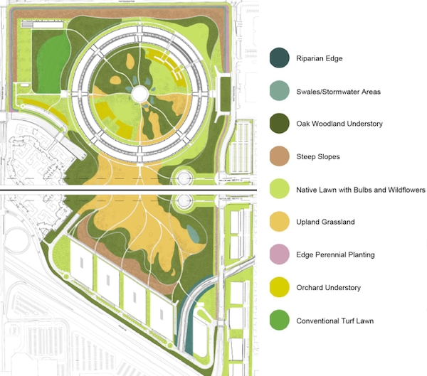 葵司电影在线播放