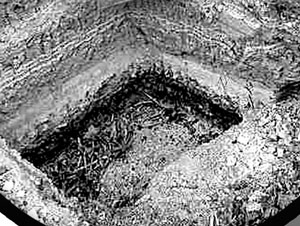 黑料网今日大事件海报