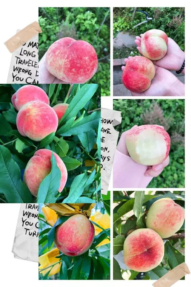 原创国产中文精品客户篇海报