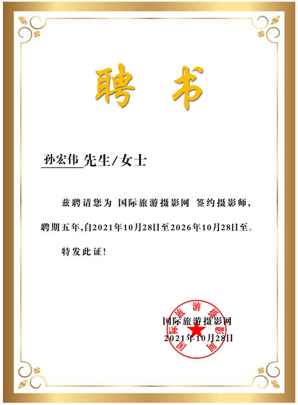 吃瓜在线网海报