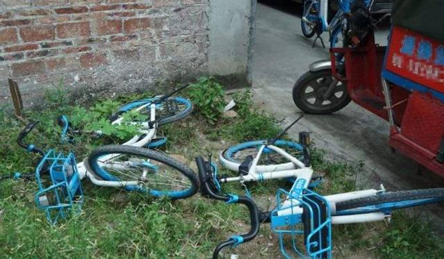 欧美日韩精品一区