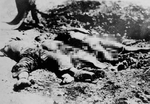 欲望厨神在线观看海报